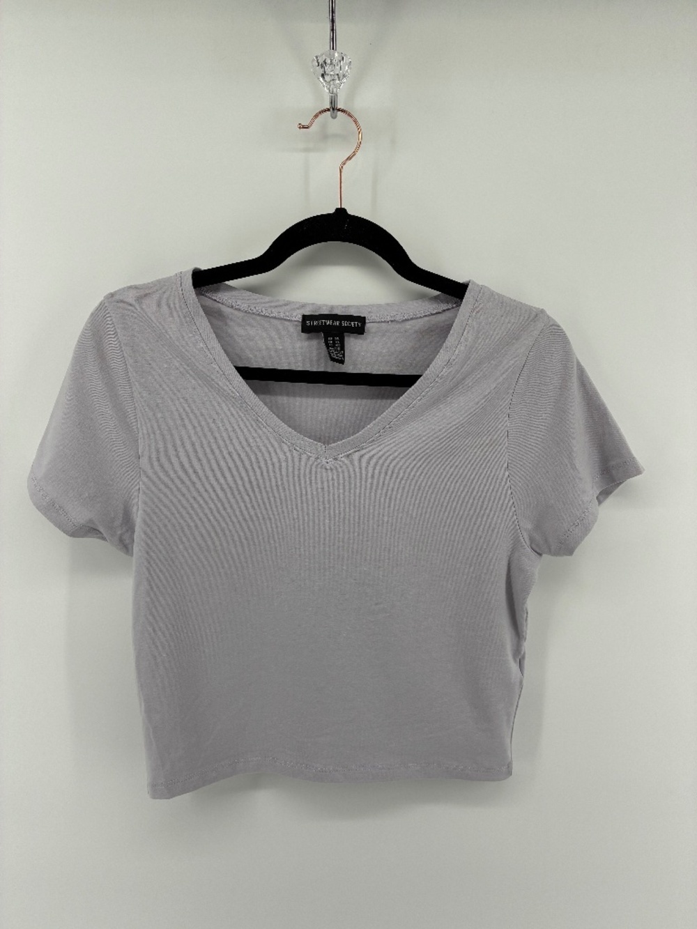 MASSIVE $10 SALE Light Purple Crop Top